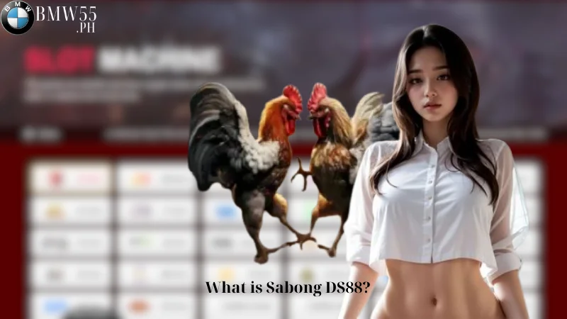 What-is-Sabong-DS88-1